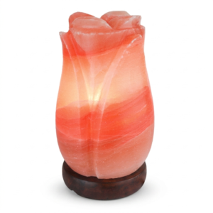Handmade Himalayan Pink Salt Rose USB Lamp – Natural Crystal