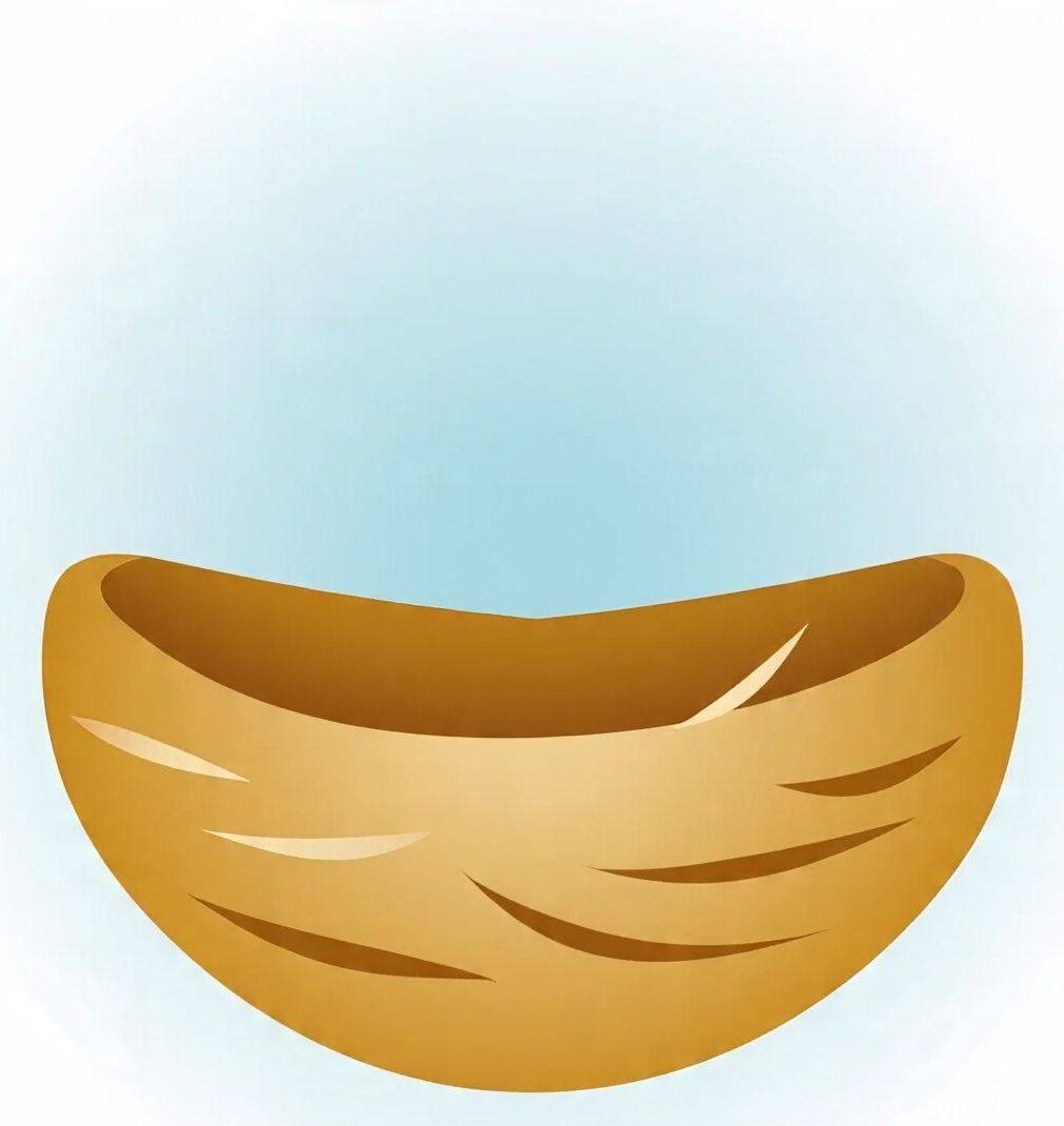 Farms Nest International