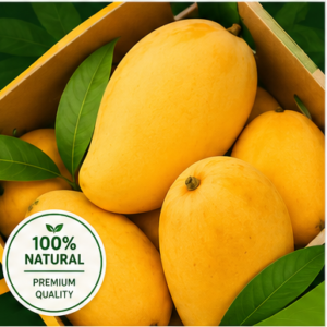 Premium Pakistani Fresh Mangoes